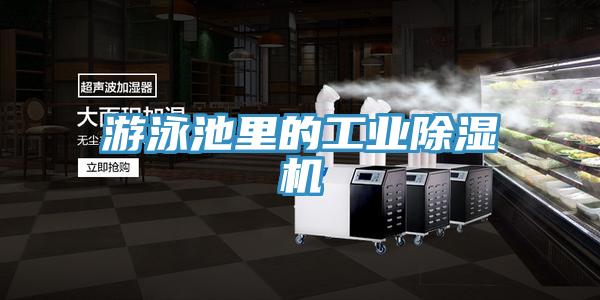遊泳池裏的工業91看片网站