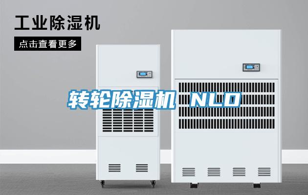 轉輪91看片网站 NLD