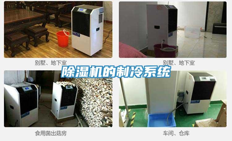 91看片网站的製冷係統