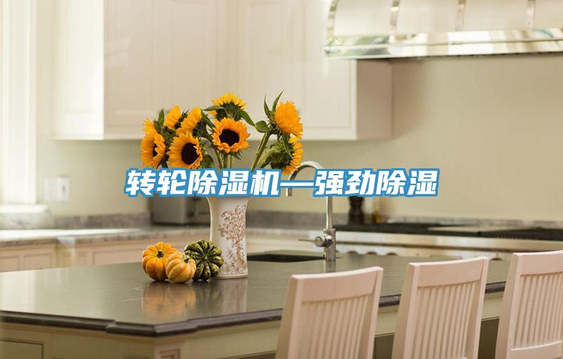 轉輪91看片网站—強勁除濕
