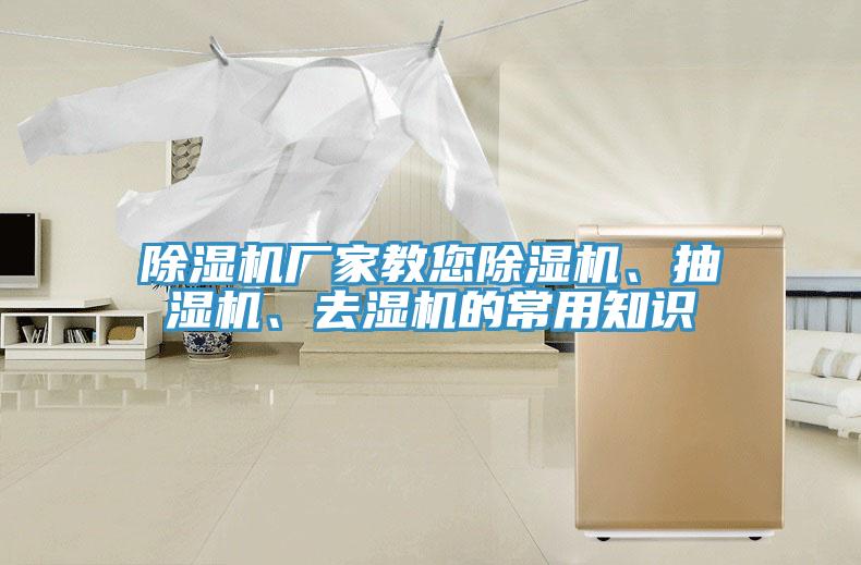 91看片网站廠家教您91看片网站、抽濕機、去濕機的常用知識