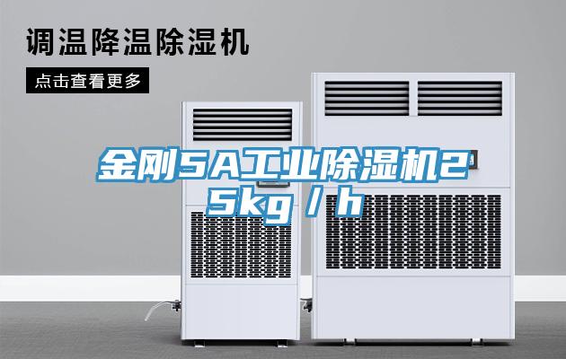 金剛5A工業91看片网站25kg／h