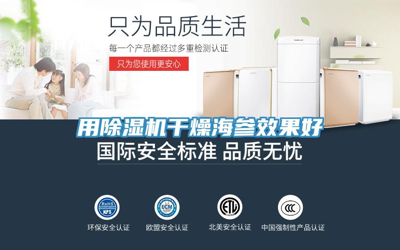 用91看片网站幹燥海參效果好