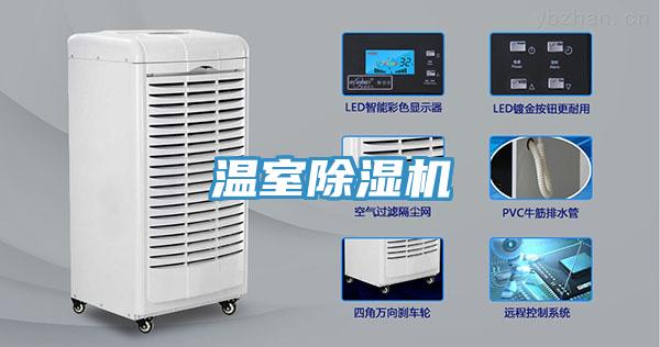 溫室91看片网站