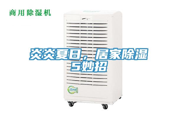 炎炎夏日，居家除濕5妙招