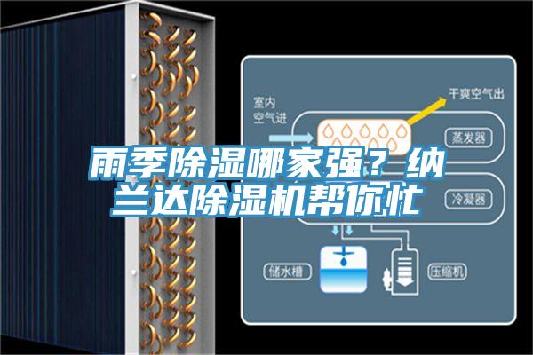 雨季除濕哪家強？納蘭達91看片网站幫你忙