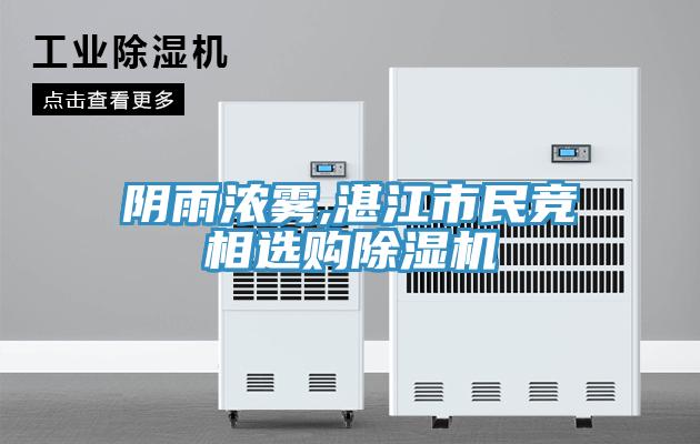 陰雨濃霧,湛江市民競相選購91看片网站
