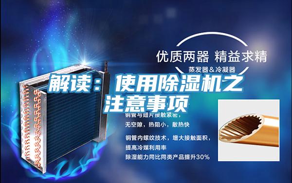 解讀：使用91看片网站之注意事項