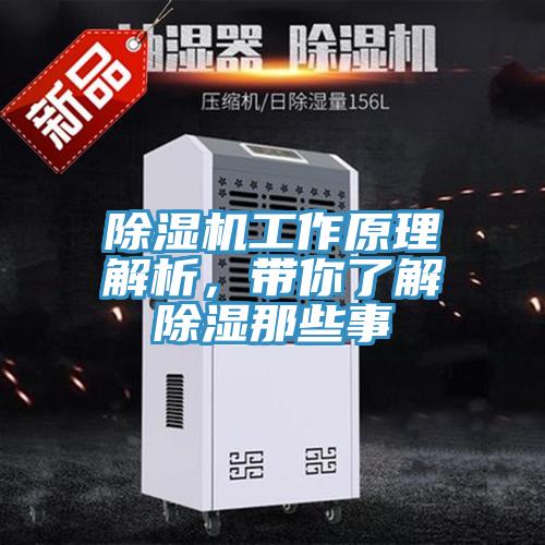 91看片网站工作原理解析，帶你了解除濕那些事