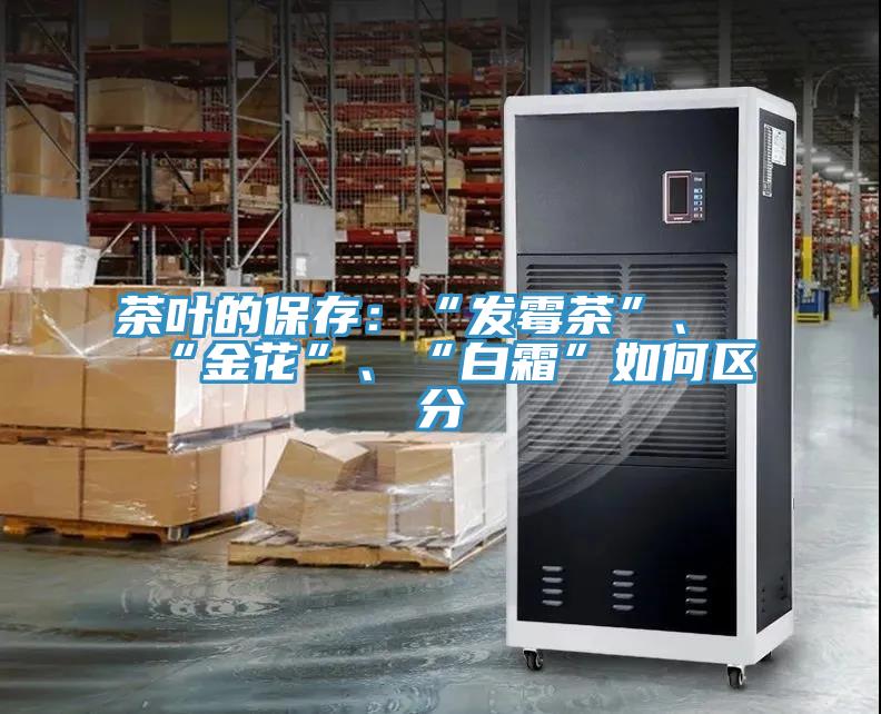 茶葉的保存：“發黴茶”、“金花”、“白霜”如何區分