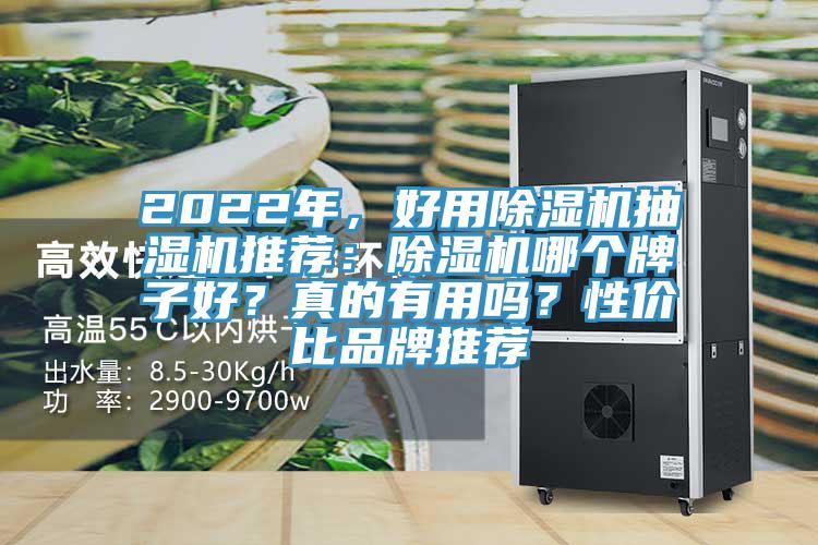 2022年，好用91看片网站抽濕機推薦：91看片网站哪個牌子好？真的有用嗎？性價比品牌推薦
