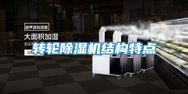 轉輪91看片网站結構特點