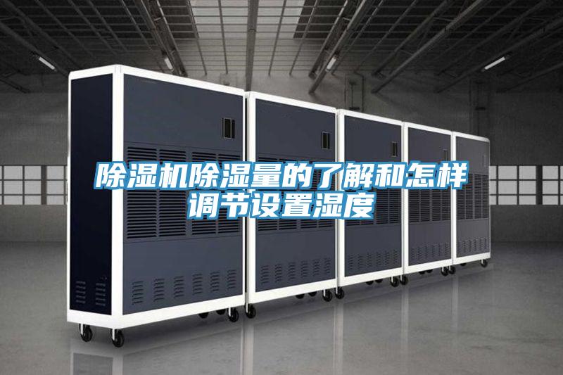 91看片网站除濕量的了解和怎樣調節設置濕度