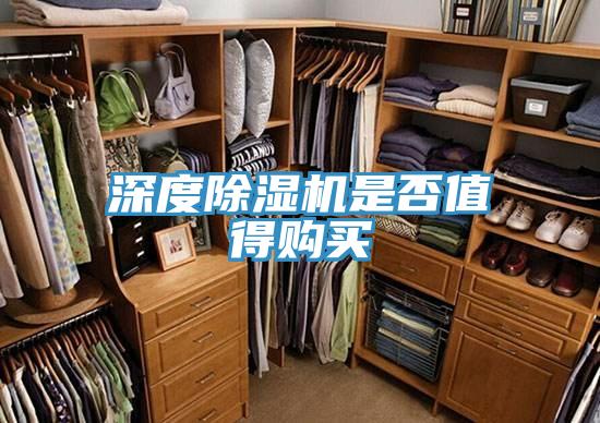 深度91看片网站是否值得購買