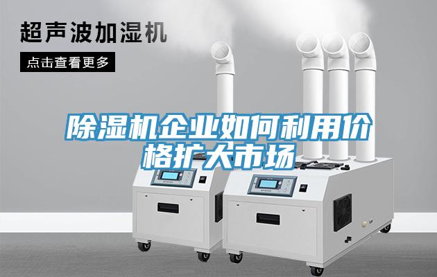 91看片网站企業如何利用價格擴大市場