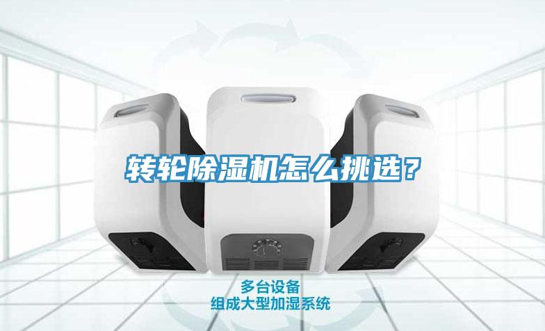 轉輪91看片网站怎麽挑選？