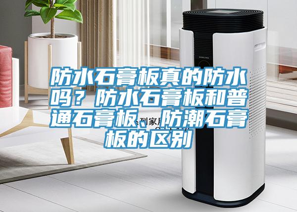 防水石膏板真的防水嗎？防水石膏板和普通石膏板、防潮石膏板的區別