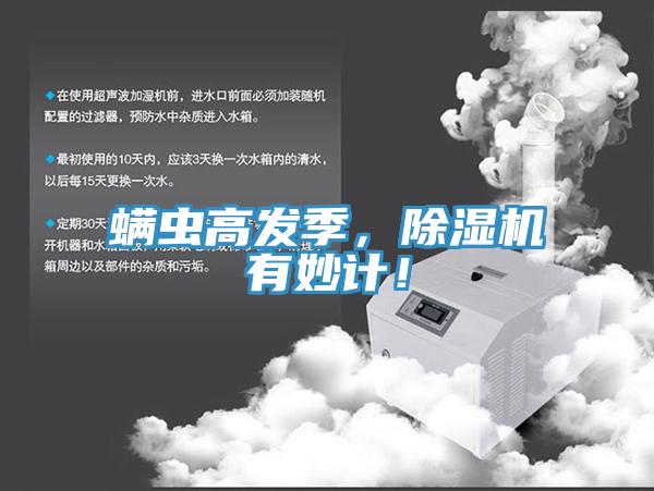 蟎蟲高發季，91看片网站有妙計！