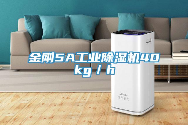 金剛5A工業91看片网站40kg／h