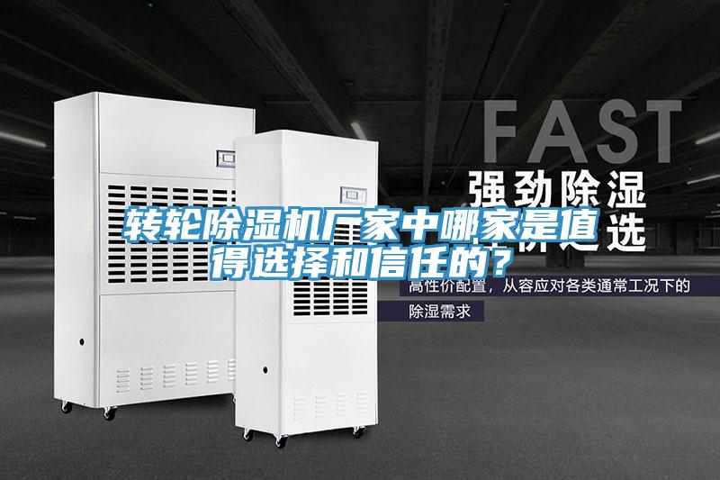 轉輪91看片网站廠家中哪家是值得選擇和信任的？