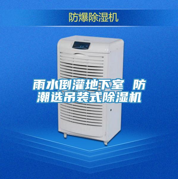 雨水倒灌地下室 防潮選吊裝式91看片网站