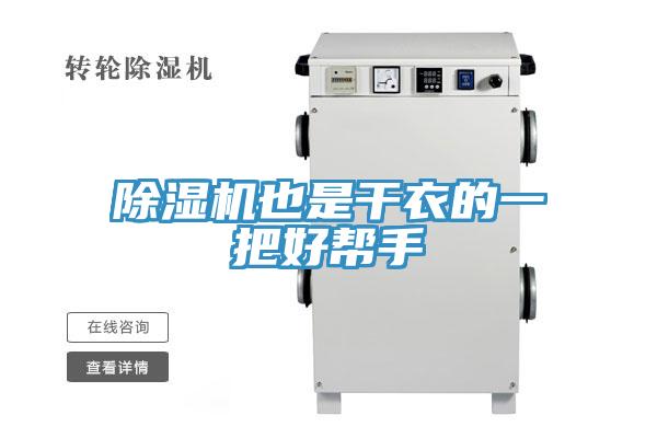 91看片网站也是幹衣的一把好幫手