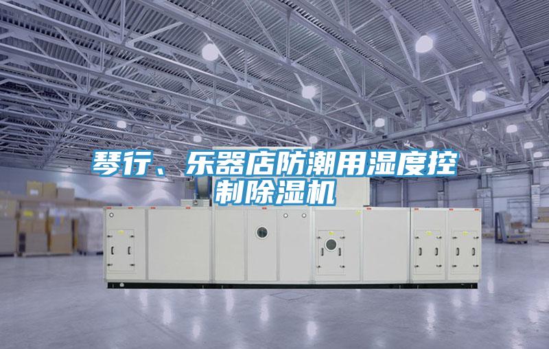 琴行、樂器店防潮用濕度控製91看片网站