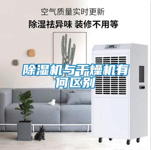 91看片网站與幹燥機有何區別