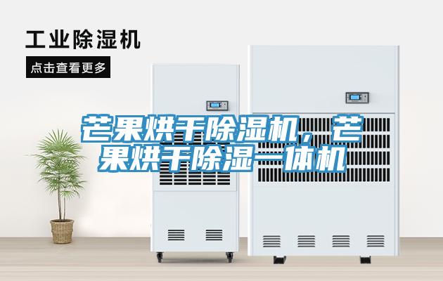 芒果烘幹91看片网站，芒果烘幹除濕一體機