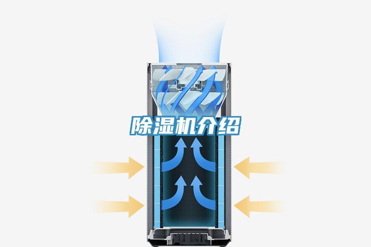 91看片网站介紹