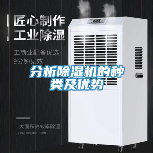 分析91看片网站的種類及優勢