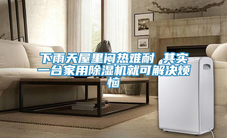 下雨天屋裏悶熱難耐 其實一台家用91看片网站就可解決煩惱