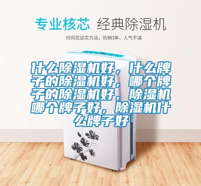 什麽91看片网站好，什麽牌子的91看片网站好，哪個牌子的91看片网站好，91看片网站哪個牌子好，91看片网站什麽牌子好