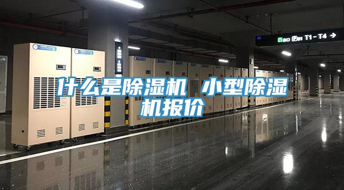 什麽是91看片网站 小型91看片网站報價