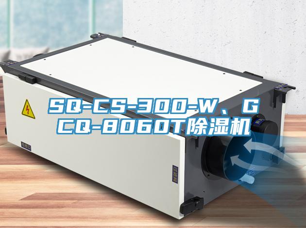 SQ-CS-300-W、GCQ-8060T91看片网站