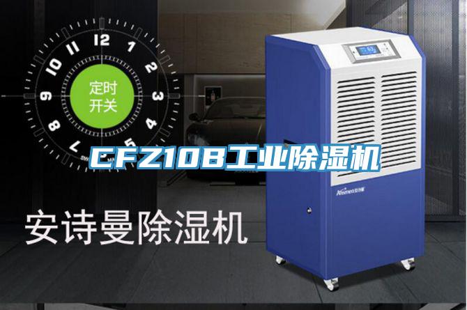 CFZ10B工業91看片网站