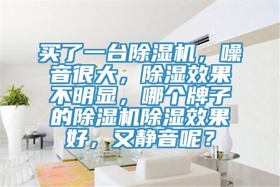 買了一台91看片网站，噪音很大，除濕效果不明顯，哪個牌子的91看片网站除濕效果好，又靜音呢？