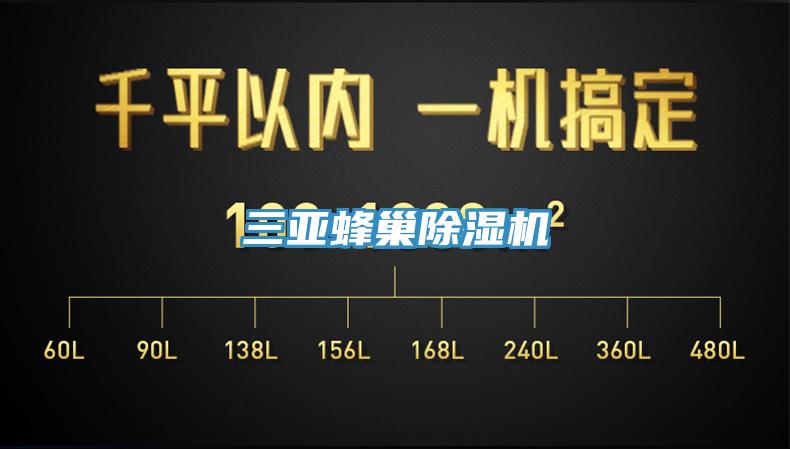 三亞蜂巢91看片网站