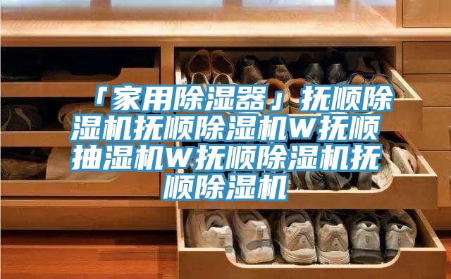 「家用除濕器」撫順91看片网站撫順91看片网站W撫順抽濕機W撫順91看片网站撫順91看片网站