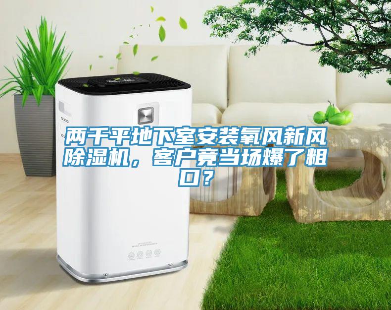 兩千平地下室安裝氧風新風91看片网站，客戶竟當場爆了粗口？