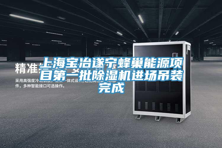 上海寶冶遂寧蜂巢能源項目第一批91看片网站進場吊裝完成