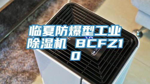 臨夏防爆型工業91看片网站 BCFZ10