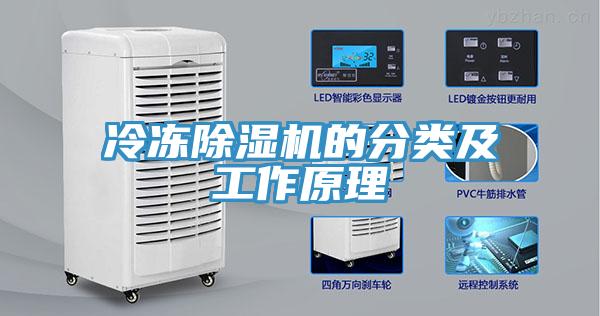 冷凍91看片网站的分類及工作原理