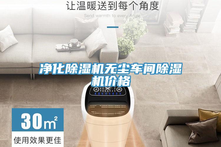 淨化91看片网站無塵車間91看片网站價格