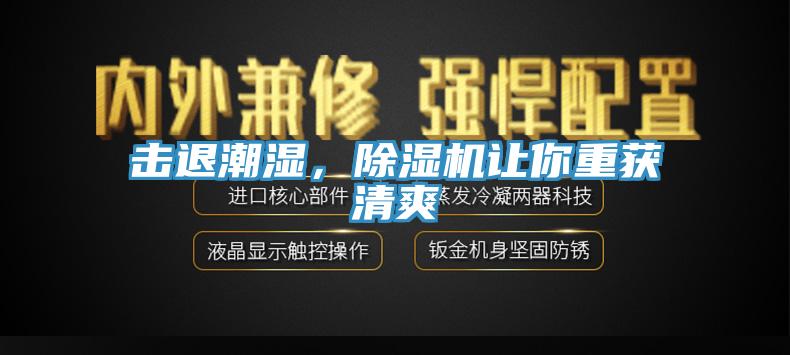 擊退潮濕，91看片网站讓你重獲清爽
