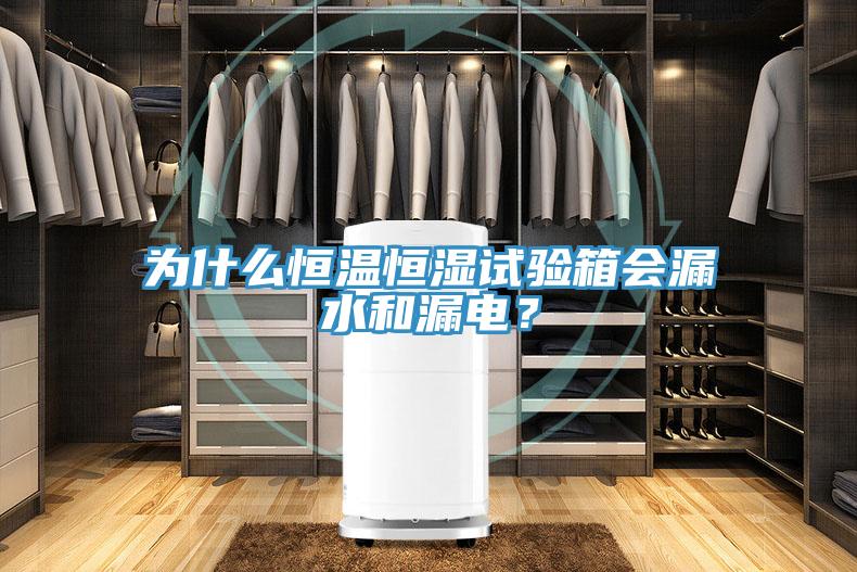 為什麽恒溫恒濕試驗箱會漏水和漏電？