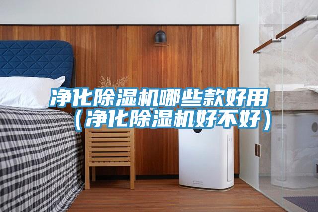淨化91看片网站哪些款好用（淨化91看片网站好不好）