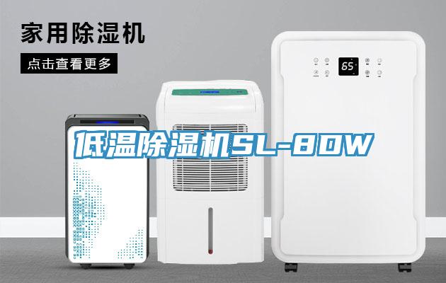低溫91看片网站SL-8DW