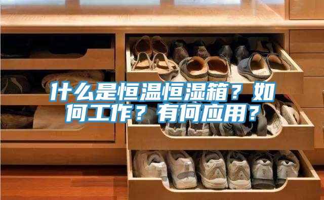 什麽是恒溫恒濕箱？如何工作？有何應用？