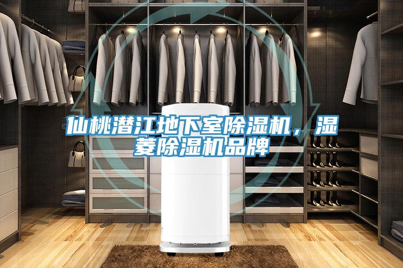 仙桃潛江地下室91看片网站，濕菱91看片网站品牌